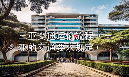 三亚交通运输流程(三亚的交通要求规定)