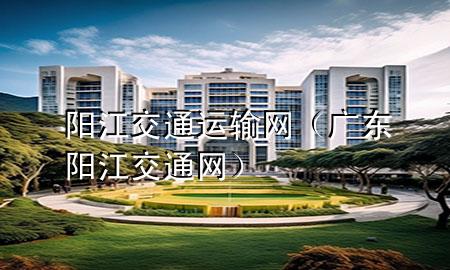 阳江交通运输网(广东阳江交通网)