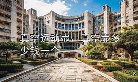真空运动壶,真空壶多少钱一个