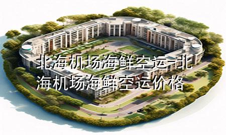 北海机场海鲜空运-北海机场海鲜空运价格