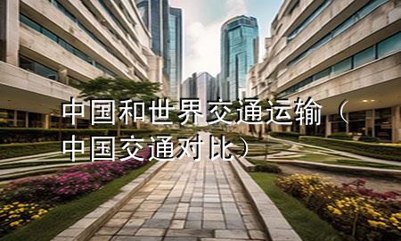 中国和世界交通运输(中国交通对比)