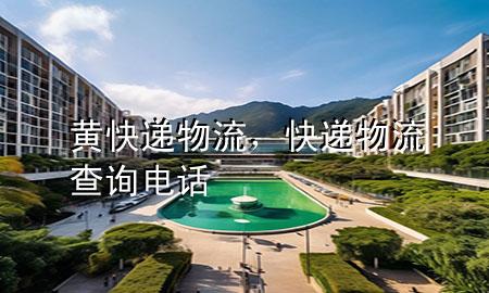 黄快递物流,快递物流查询电话