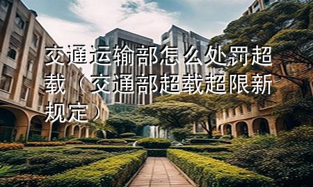 交通运输部怎么处罚超载(交通部超载超限新规定)