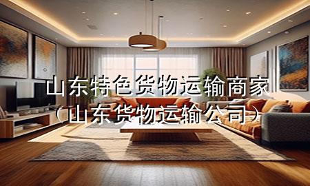 山东特色货物运输商家(山东货物运输公司)