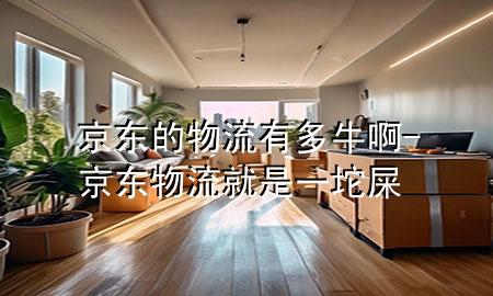 京东的物流有多牛啊-京东物流就是一坨屎