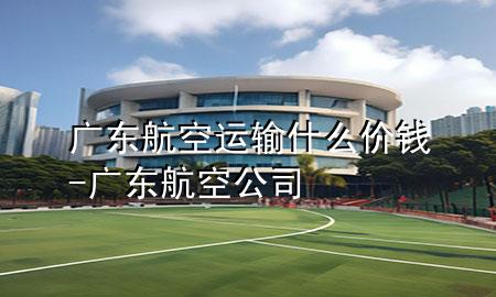 广东航空运输什么价钱-广东航空公司