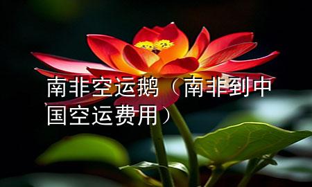 南非空运鹅(南非到中国空运费用)