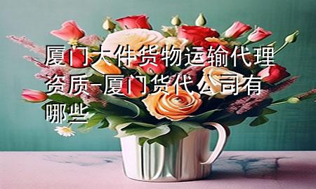 厦门大件货物运输代理资质-厦门货代公司有哪些