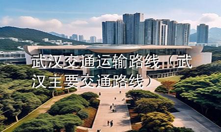 武汉交通运输路线(武汉主要交通路线)