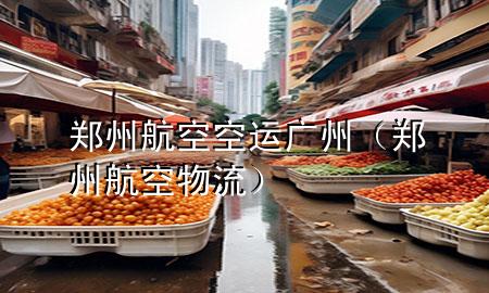 郑州航空空运广州(郑州航空物流)
