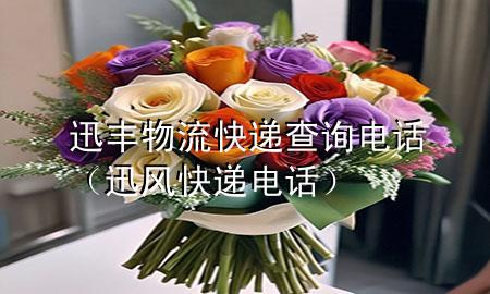 迅丰物流快递查询电话(迅风快递电话)