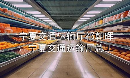 宁夏交通运输厅祁朝晖,宁夏交通运输厅总工