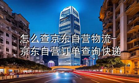 怎么查京东自营物流-京东自营订单查询快递