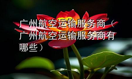 广州航空运输服务商(广州航空运输服务商有哪些)