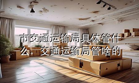 市交通运输局具体管什么,交通运输局管啥的