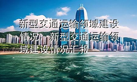 新型交通运输领域建设情况,新型交通运输领域建设情况汇报