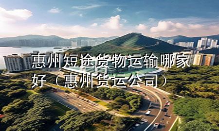 惠州短途货物运输哪家好(惠州货运公司)