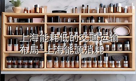 上海能耗低的交通运输布局-上海能源消耗