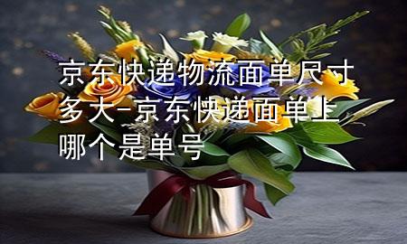 京东快递物流面单尺寸多大-京东快递面单上哪个是单号