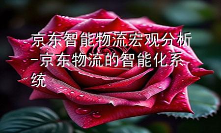 京东智能物流宏观分析-京东物流的智能化系统