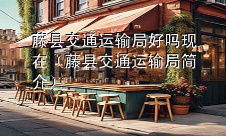 藤县交通运输局好吗现在(藤县交通运输局简介)