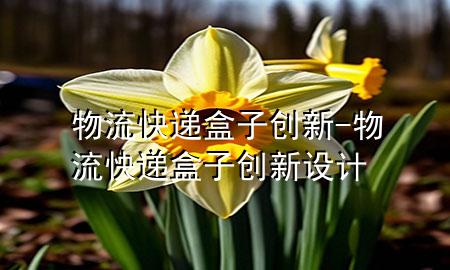 物流快递盒子创新-物流快递盒子创新设计