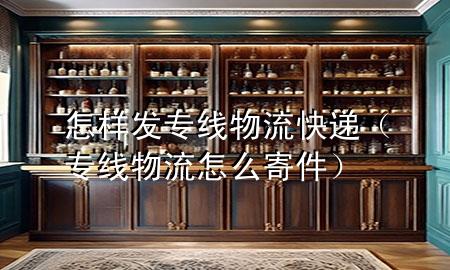 怎样发专线物流快递(专线物流怎么寄件)