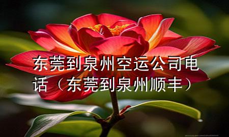 东莞到泉州空运公司电话（东莞到泉州顺丰）