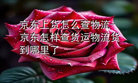 京东上货怎么查物流-京东怎样查货运物流货到哪里了