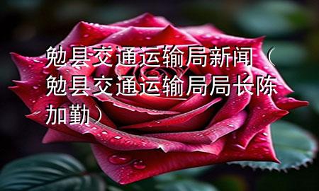 勉县交通运输局新闻(勉县交通运输局局长陈加勤)
