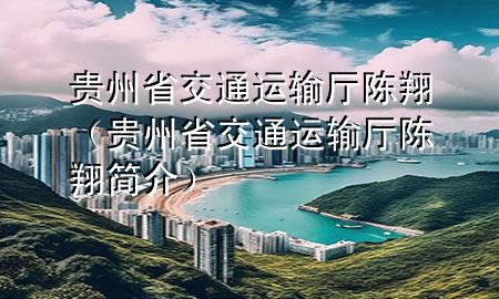 贵州省交通运输厅陈翔(贵州省交通运输厅陈翔简介)