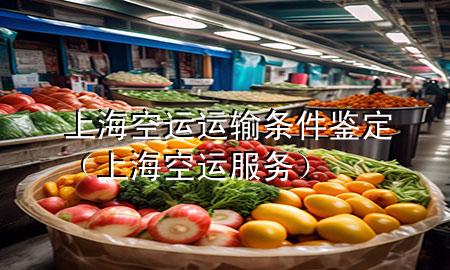 上海空运运输条件鉴定（上海空运服务）