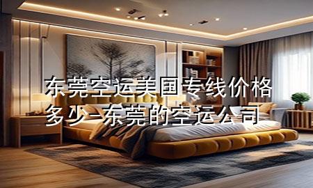 东莞空运美国专线价格多少-东莞的空运公司