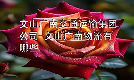 文山广南交通运输集团公司-文山广南物流有哪些