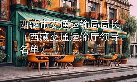 西藏市交通运输局局长(西藏交通运输厅领导名单)