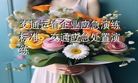 交通运输企业应急演练标准,交通应急处置演练