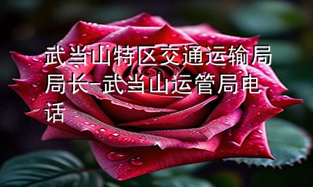 武当山特区交通运输局局长-武当山运管局电话