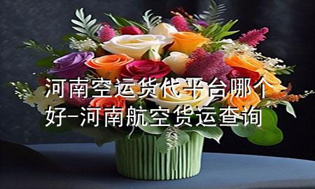 河南空运货代平台哪个好-河南航空货运查询