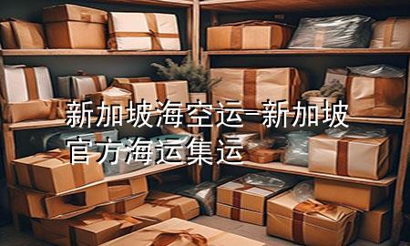 新加坡海空运-新加坡官方海运集运