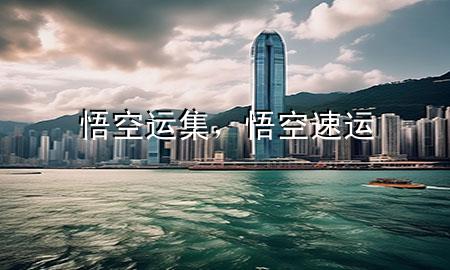 悟空运集,悟空速运