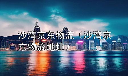 沙湾京东物流(沙湾京东物流地址)
