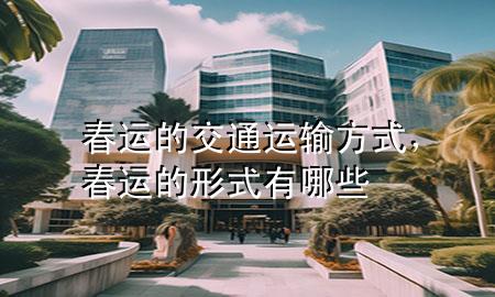 春运的交通运输方式,春运的形式有哪些