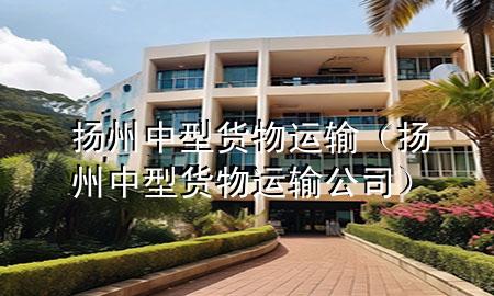 扬州中型货物运输(扬州中型货物运输公司)