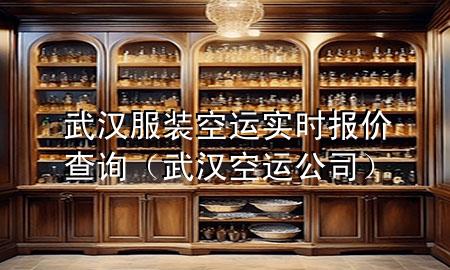 武汉服装空运实时报价查询(武汉空运公司)