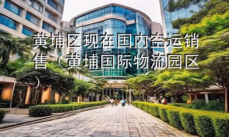 黄埔区现在国内空运销售(黄埔国际物流园区)