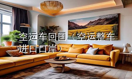 空运车回国（空运整车进口口岸）