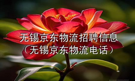 无锡京东物流招聘信息(无锡京东物流电话)