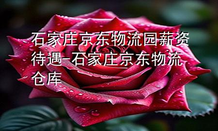 石家庄京东物流园薪资待遇-石家庄京东物流仓库