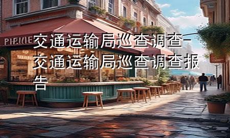 交通运输局巡查调查-交通运输局巡查调查报告