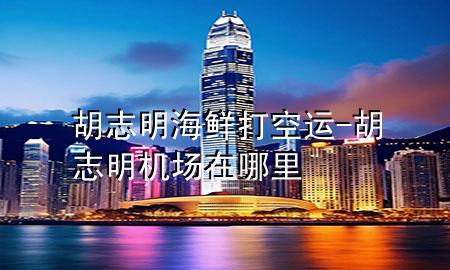 胡志明海鲜打空运-胡志明机场在哪里
